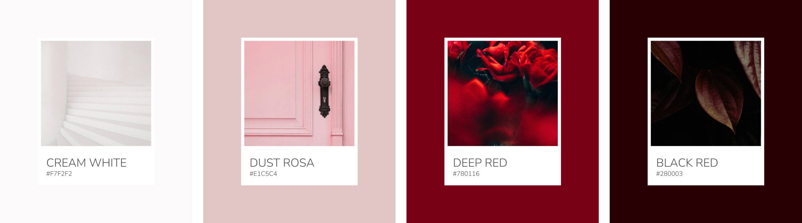 Brandfarben claudia niklas